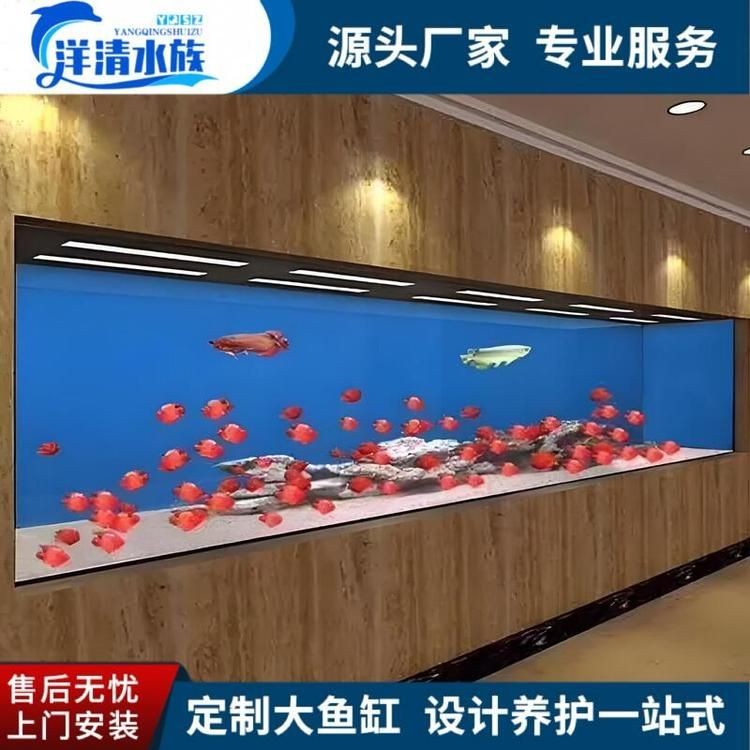 朝陽魚缸定做：朝陽地區魚缸定做