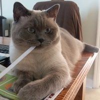 共振的利弊：共振在工程中的應(yīng)用