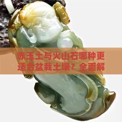 火山石可以代替赤玉土嗎：火山石與赤玉土的區別 火山石可以代替赤玉土嗎：火山石與赤玉土的區別 龍魚論壇 第7張