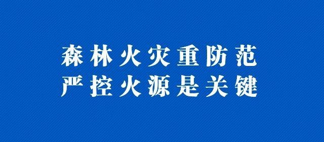 麗水龍魚店：麗水街頭龍魚店探店