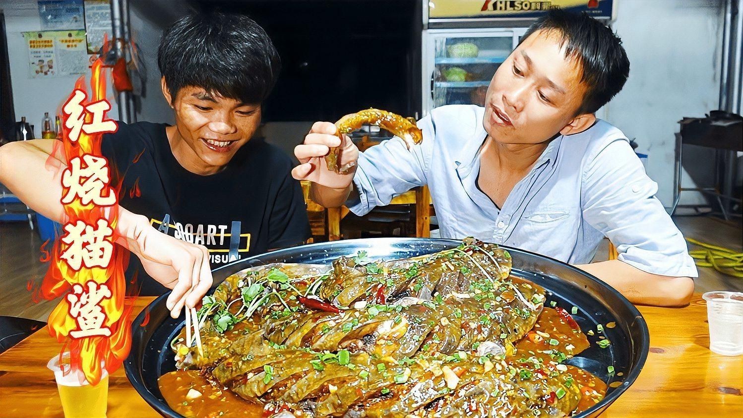 貓鯊：貓鯊是一類體型嬌小、性情溫順的軟骨魚類