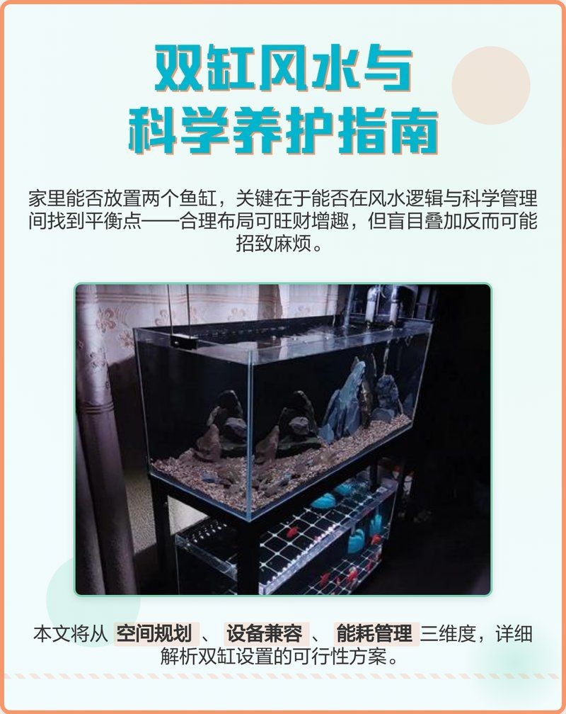 兩個魚缸能挨著放嗎：兩個魚缸可以挨著放嗎