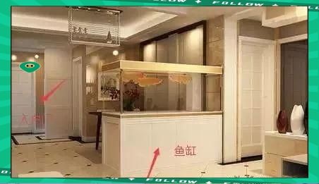 兩個魚缸能挨著放嗎：兩個魚缸可以挨著放嗎