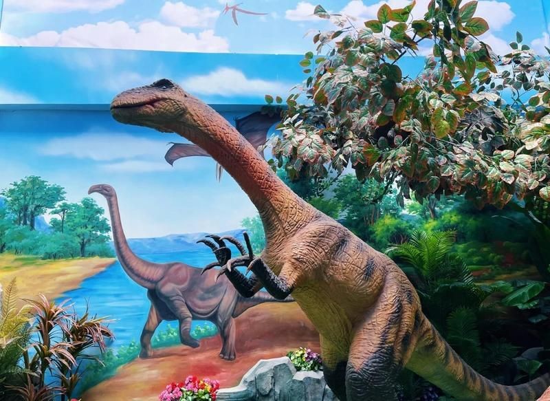 烏魯木齊水族店：烏魯木齊水族店怎么樣