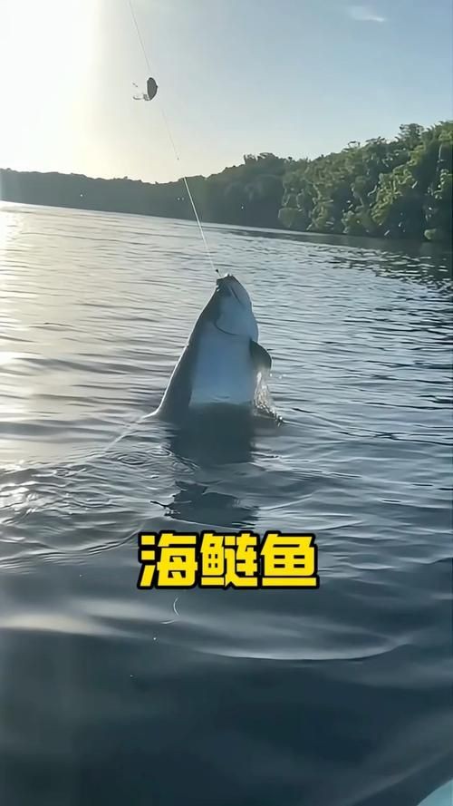 海鰱魚圖片大全：**《海鰱魚圖片大全》