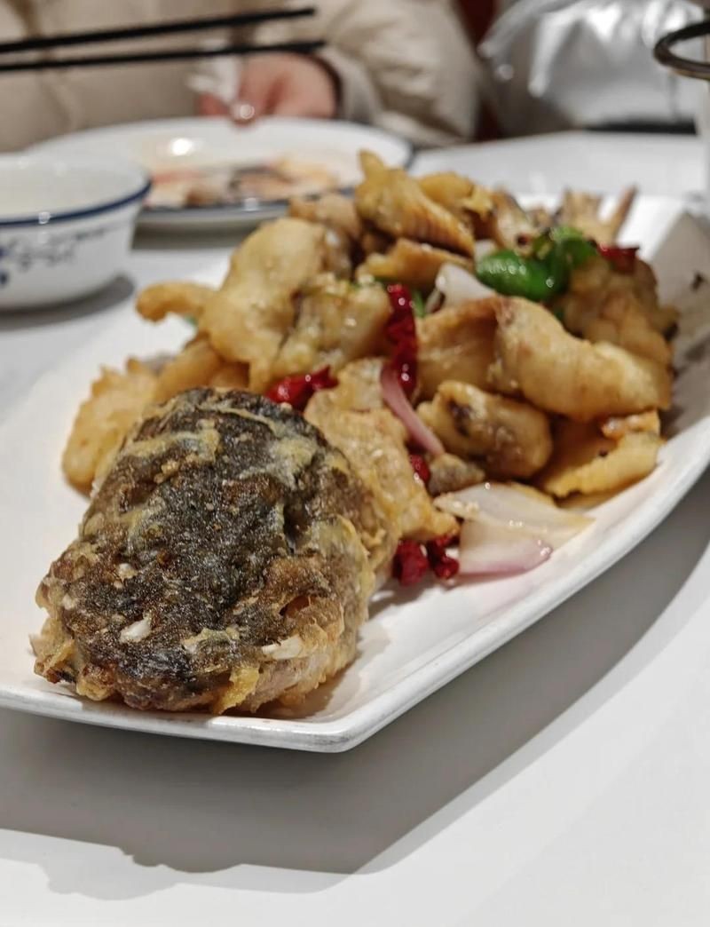 狗魚為什么叫狗魚：“狗魚之名源于其獨(dú)特的外形與行為特征與生存之道”