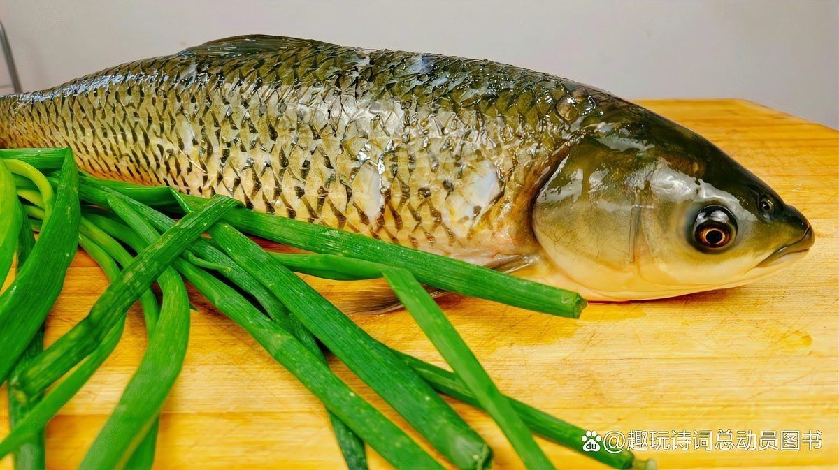 廣東人說的鯇魚是草魚嗎：廣東人所說的“鯇魚”是什么？