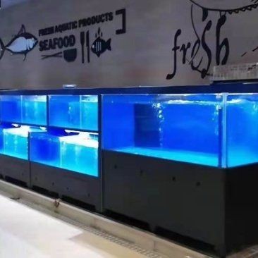 畢節魚缸批發市場：畢節魚缸批發市場分析 畢節魚缸批發市場：畢節魚缸批發市場分析 全國水族館企業名錄 第11張