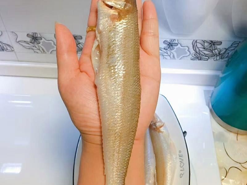 紅丁魚的做法：**《紅丁魚的做法》*香煎紅丁魚