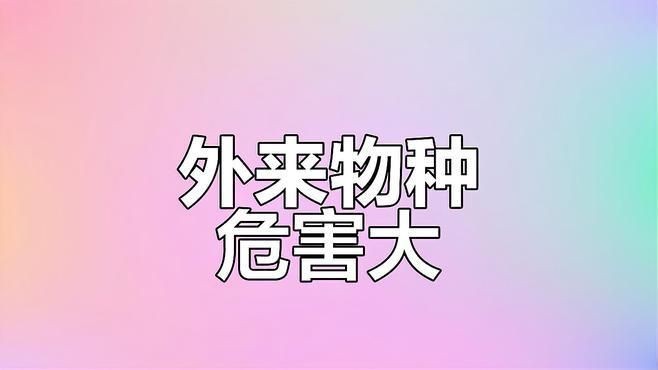 家里養(yǎng)鱷雀鱔好不好：鱷雀鱔入侵破壞生態(tài)價值，<strong><mark>河南</mark></strong>安陽有人釣出“巨型怪魚”