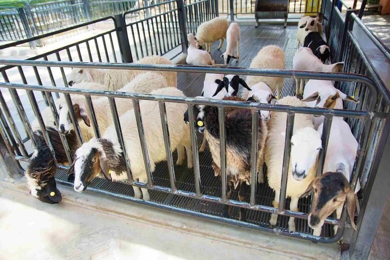 臺州魚缸定做：臺州亞克力魚缸定做