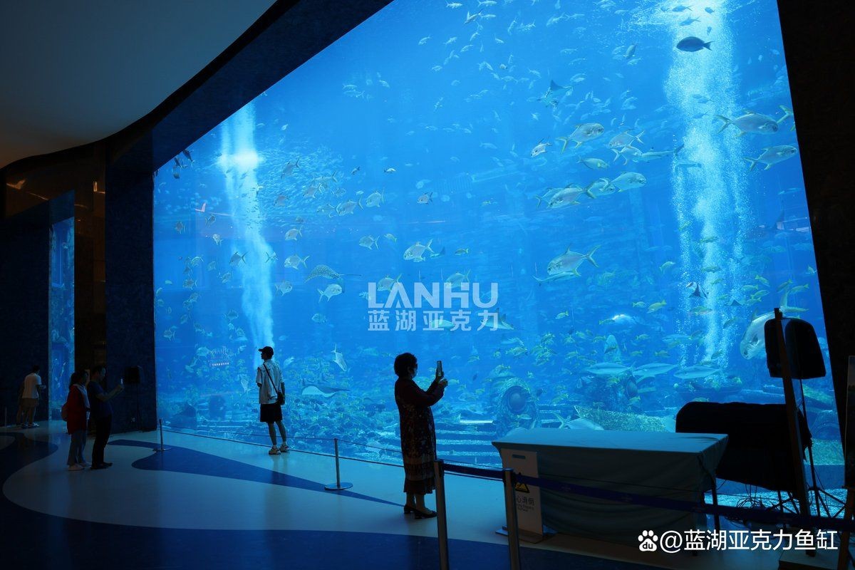 臺州魚缸定做：臺州亞克力魚缸定做