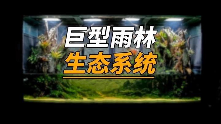 楚雄彝族自治州魚缸定做：楚雄彝族自治州魚缸定做服務