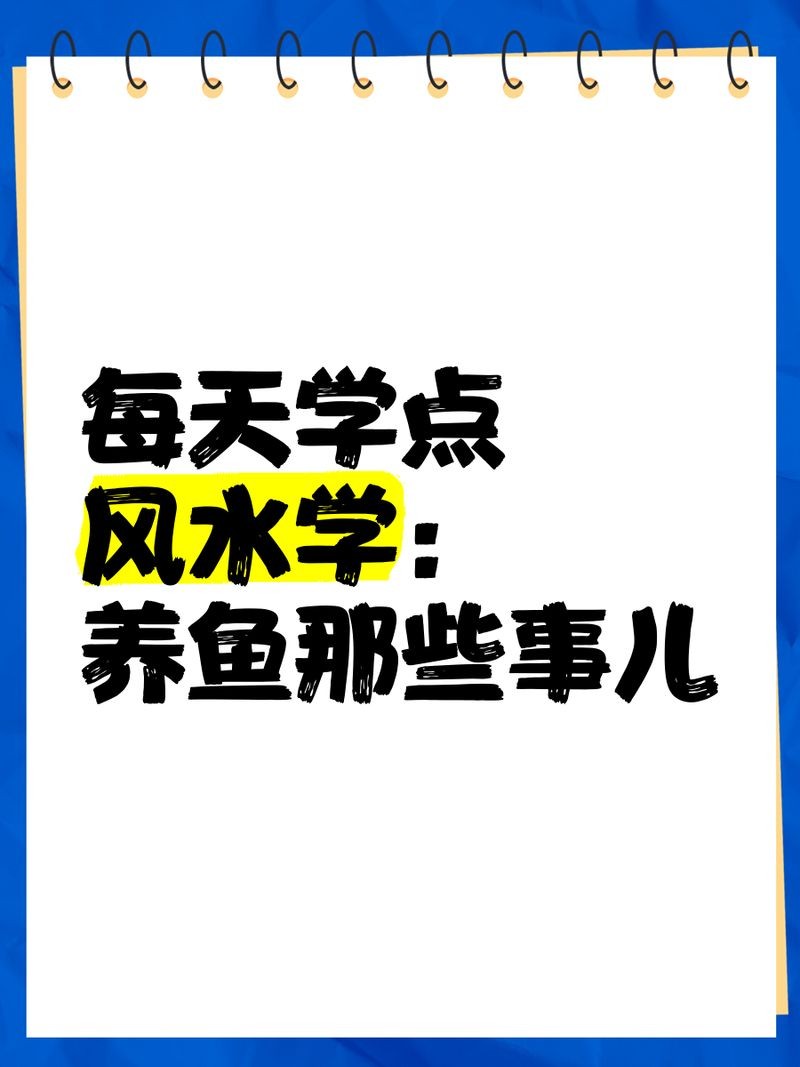 家里養鯊魚對風水好不好：關于家中養鯊魚的風水魚混養