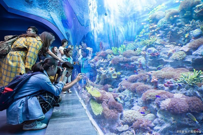 安慶水族店：安慶水族店怎么樣