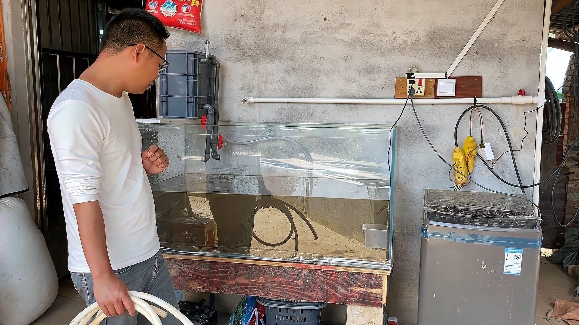 買魚缸哪里便宜：如何選購便宜魚缸？