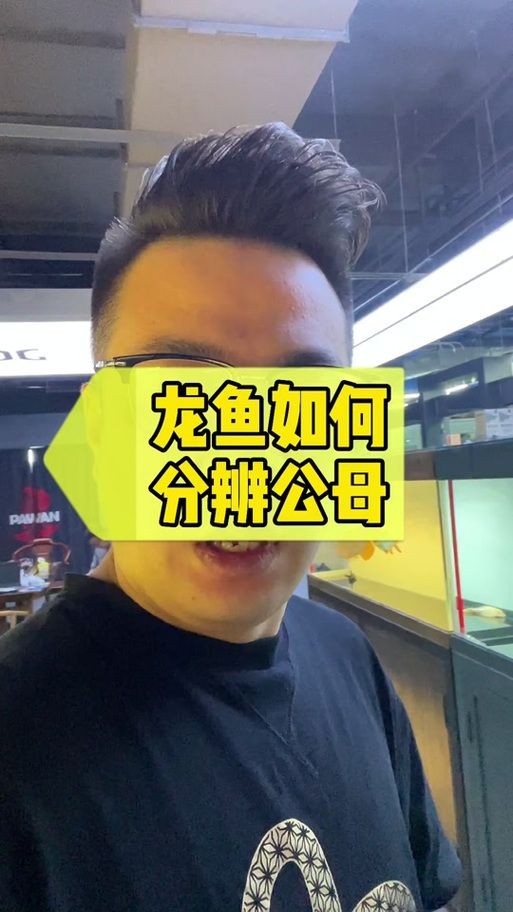 宜豐龍魚水族用品店、宜豐龍魚水族店、宜豐龍魚水族用品店分享，宜豐龍魚水族店