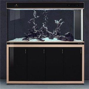 加盟魚(yú)缸品牌大全：2025年魚(yú)缸品牌加盟市場(chǎng)全景分析報(bào)告