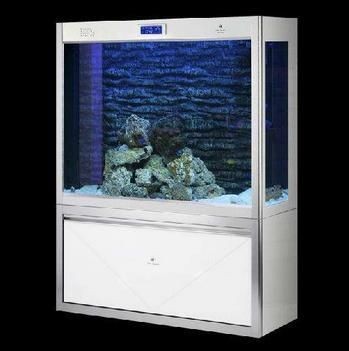加盟魚缸品牌大全：2025年魚缸品牌加盟市場全景分析報告