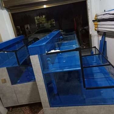 永州魚缸定做：永州水族魚缸定制