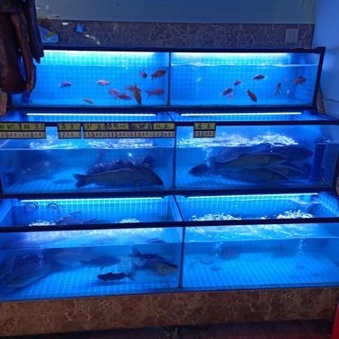 永州魚缸定做：永州水族魚缸定制