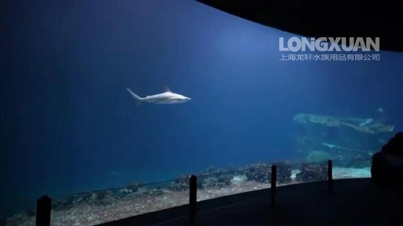 永州魚缸定做：永州水族魚缸定制