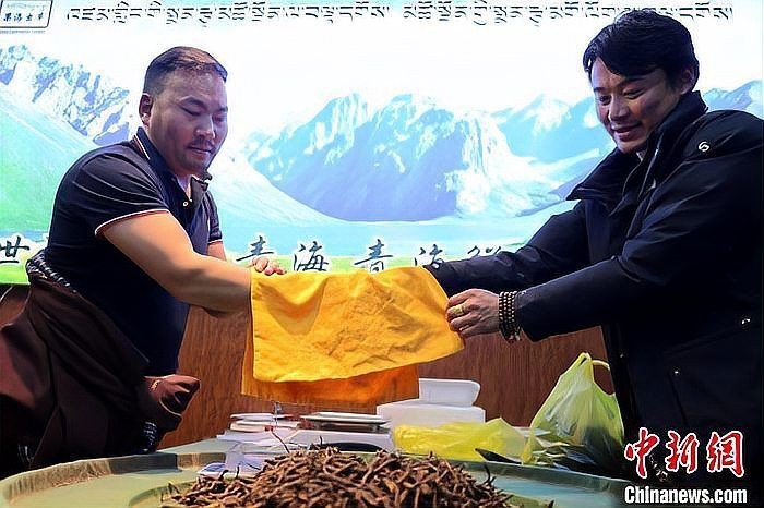 果洛藏族自治州水族批發(fā)市場(chǎng)：果洛州水族批發(fā)市場(chǎng)