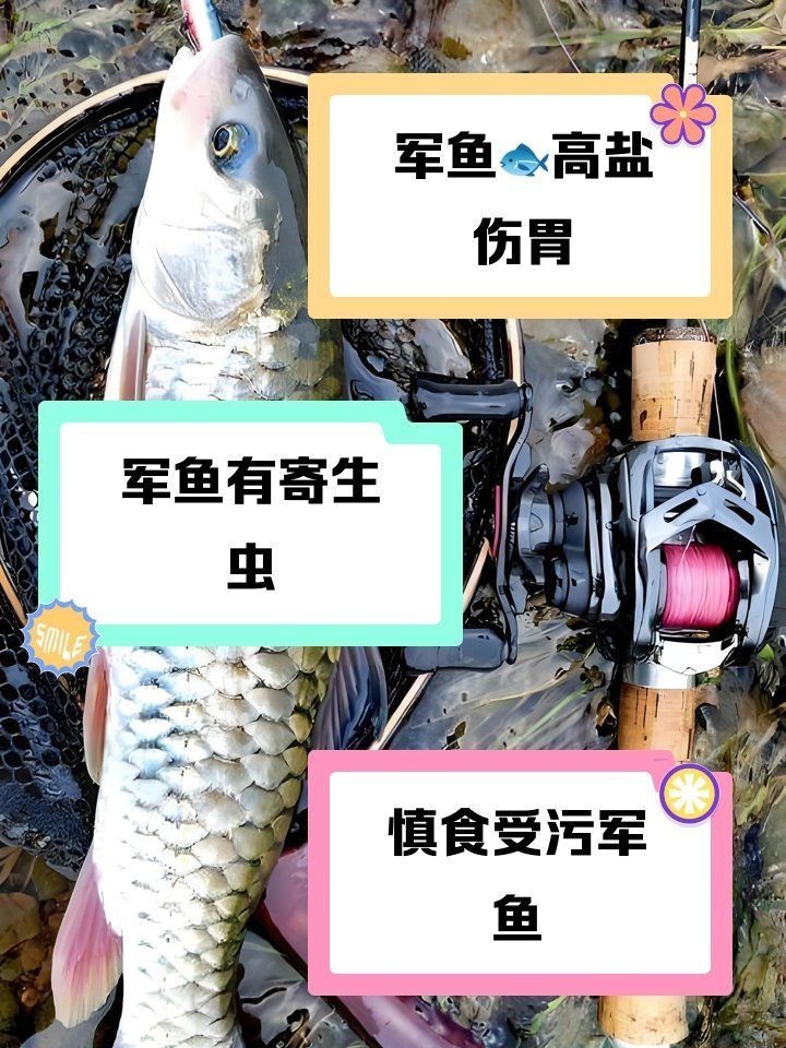 軍魚寄生蟲多嗎：軍魚寄生蟲的種類、危害、預防措施及安全食用建議