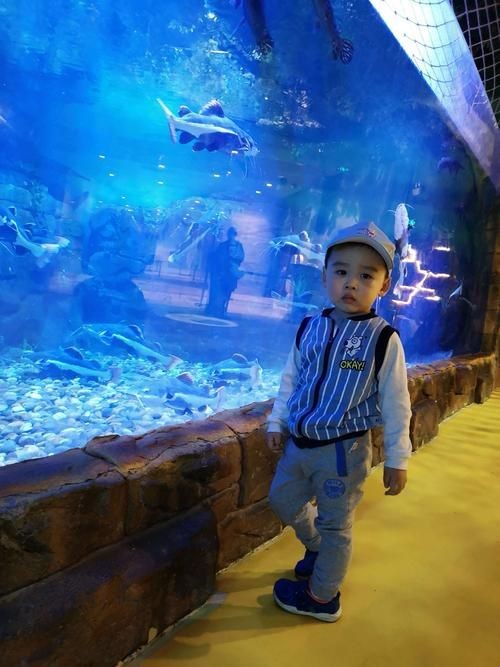 河南一二水族分布圖：《河南一二水族分布圖》 河南一二水族分布圖：《河南一二水族分布圖》 龍魚論壇 第10張
