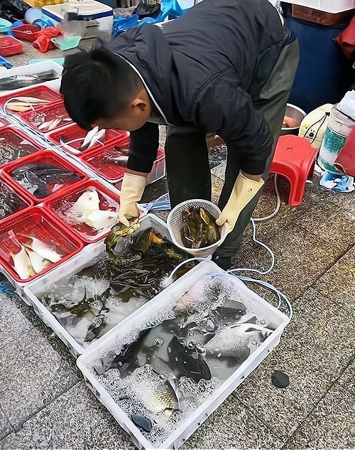 怒江傈僳族自治州魚缸店：怒江傈僳族自治州一家獨特魚缸店巧妙融合了當?shù)刈匀簧鷳B(tài)與傈僳族文化特色