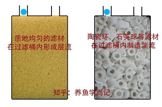 光特億濾材怎么樣：光特億3dm環濾材助力輕松養魚優化過濾系統超省心