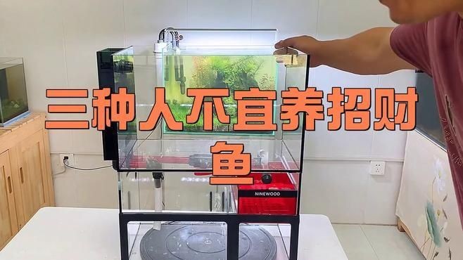 三種人不宜放魚缸：什么人家里不適合放魚缸 三種人不宜放魚缸：什么人家里不適合放魚缸 龍魚百科 第4張