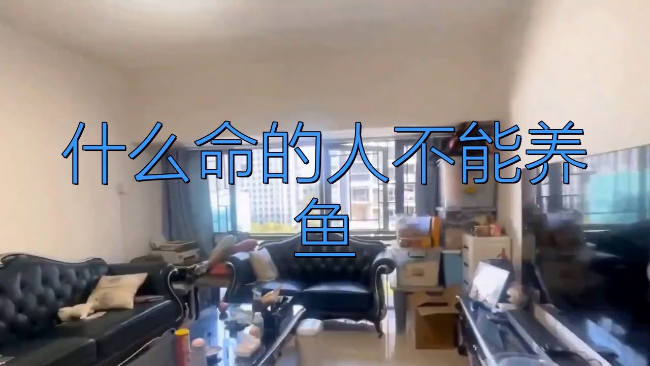 三種人不宜放魚缸：什么人家里不適合放魚缸 三種人不宜放魚缸：什么人家里不適合放魚缸 龍魚百科 第3張