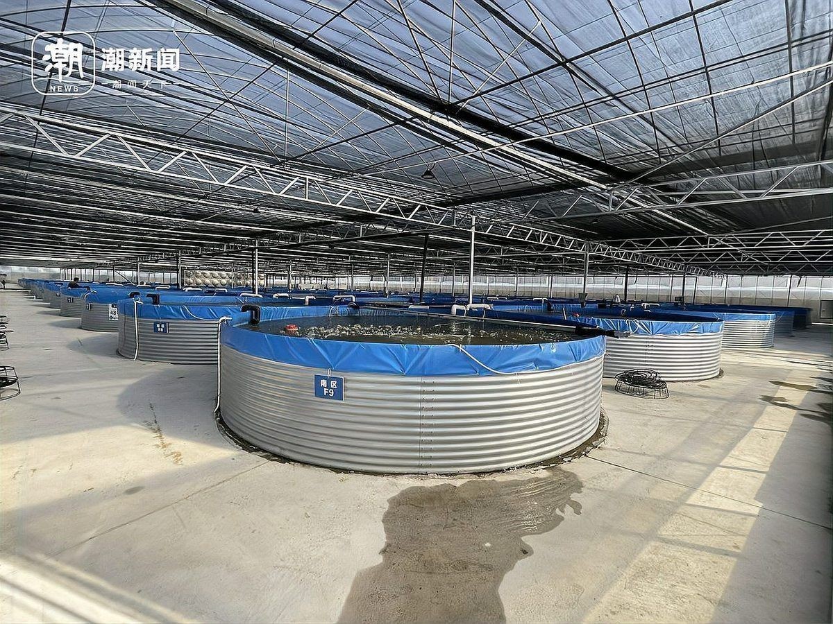 中國十大養(yǎng)魚：中國水產(chǎn)養(yǎng)殖十大省份排名 中國十大養(yǎng)魚：中國水產(chǎn)養(yǎng)殖十大省份排名 龍魚百科 第5張