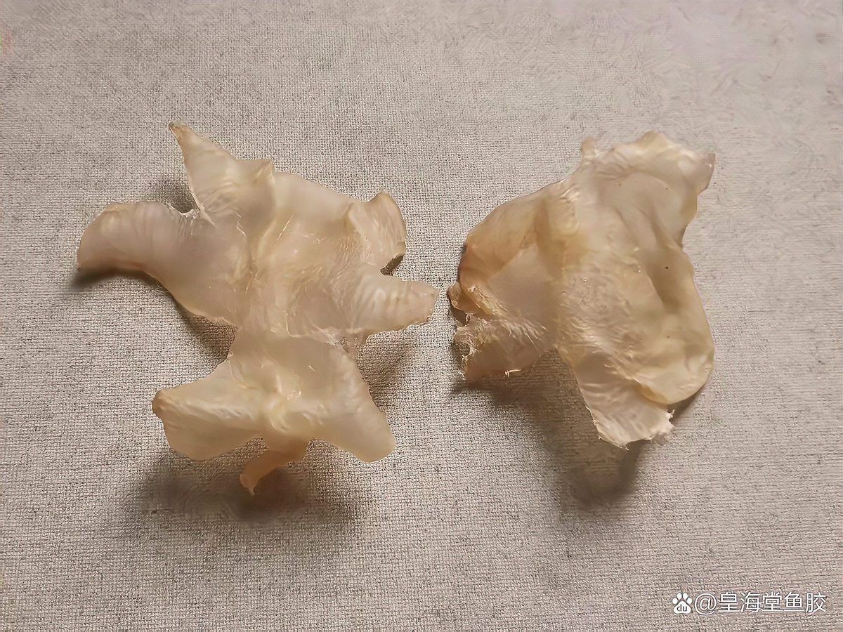 中國魚膠十大排名：2018中國魚膠十大品牌排名