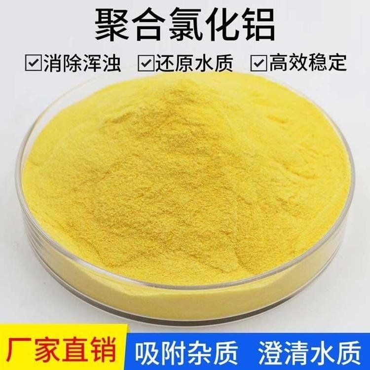 慶陽魚缸批發市場：慶陽魚缸批發市場是西北地區重要的水族用品集散地