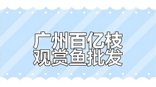 買地圖魚視頻：地圖魚的選購技巧