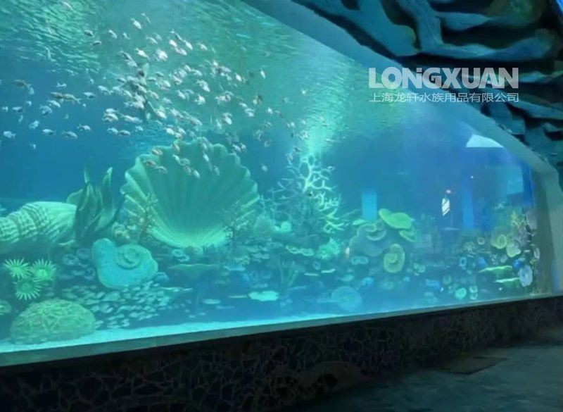 東莞魚缸維護：東莞魚缸怎么維護