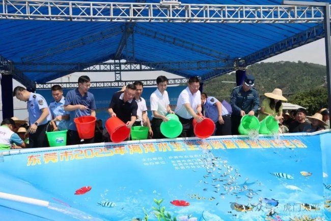東莞魚缸維護：東莞魚缸怎么維護