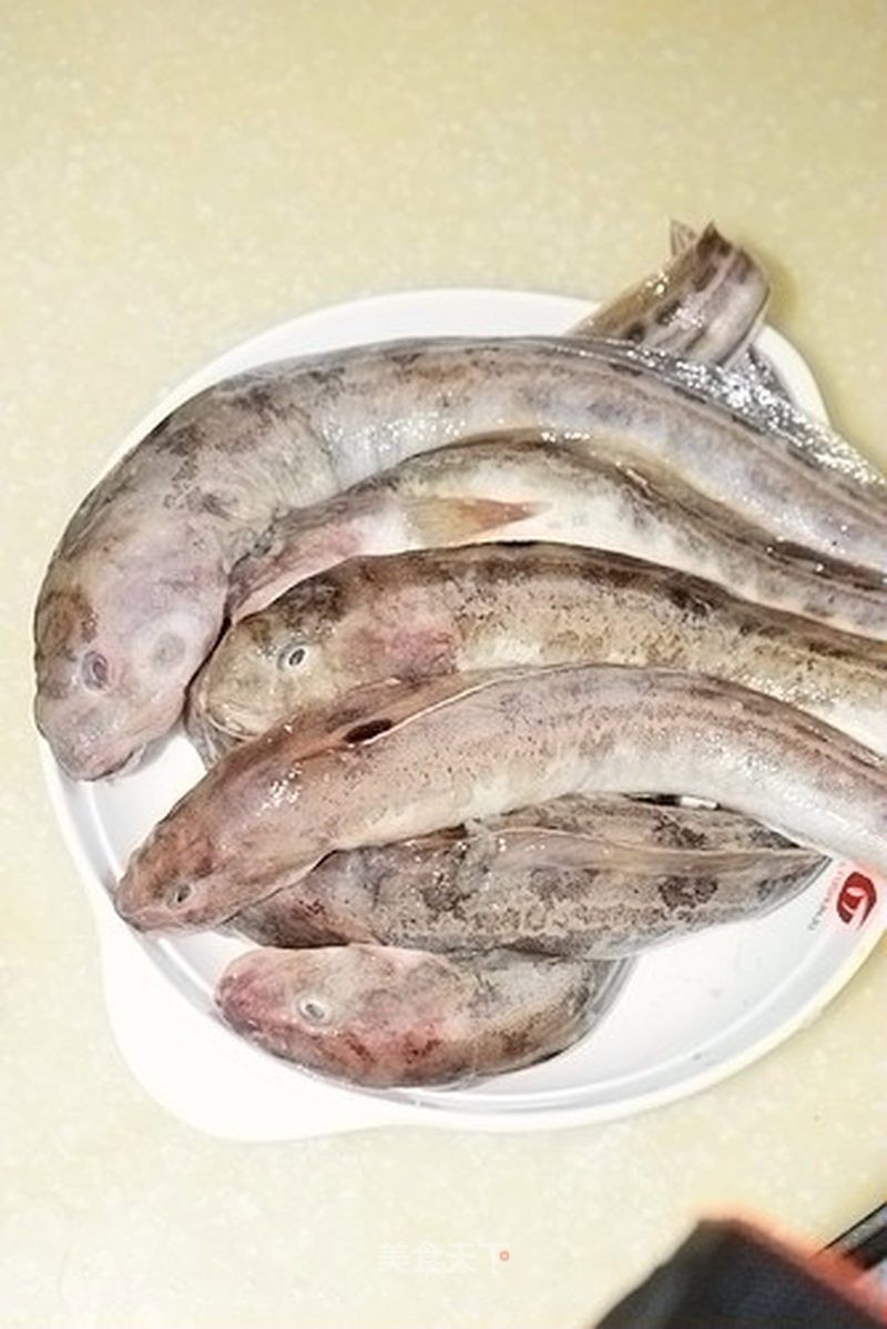 海鯰魚俗名叫啥：春天吃海魚別錯過這3種,刺少肉鮮無養殖行家都搶著買