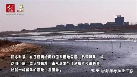 皇龍漁場最火三個地方：皇龍漁場三大勝景記，觀鯨臺和觀鯨臺和珊瑚灣堪稱絕技
