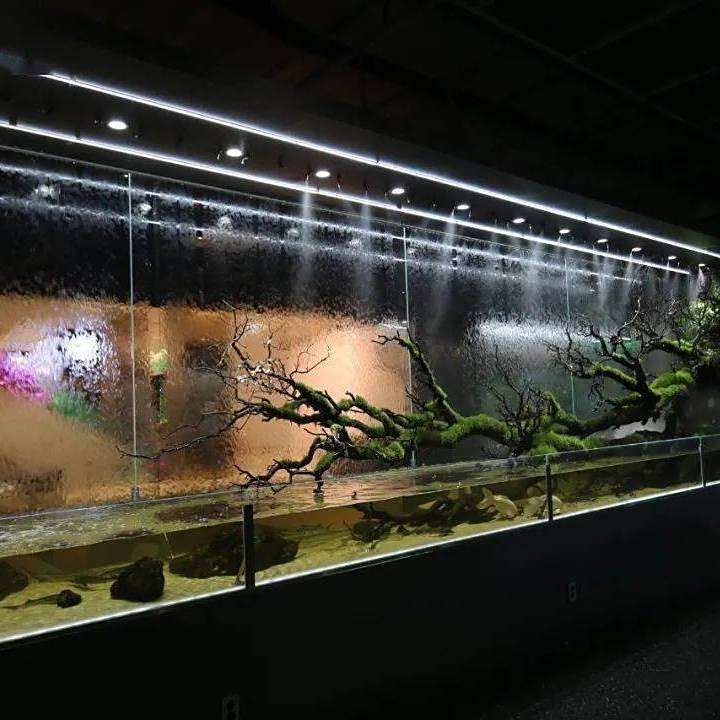 臺(tái)灣水族批發(fā)市場(chǎng)：臺(tái)灣水族批發(fā)市場(chǎng)是亞洲重要的觀賞魚及水族用品集散地