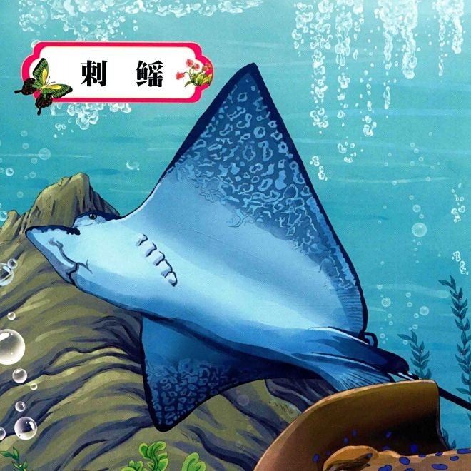 很多刺的海魚叫什么名字：多刺海魚有哪些特點？