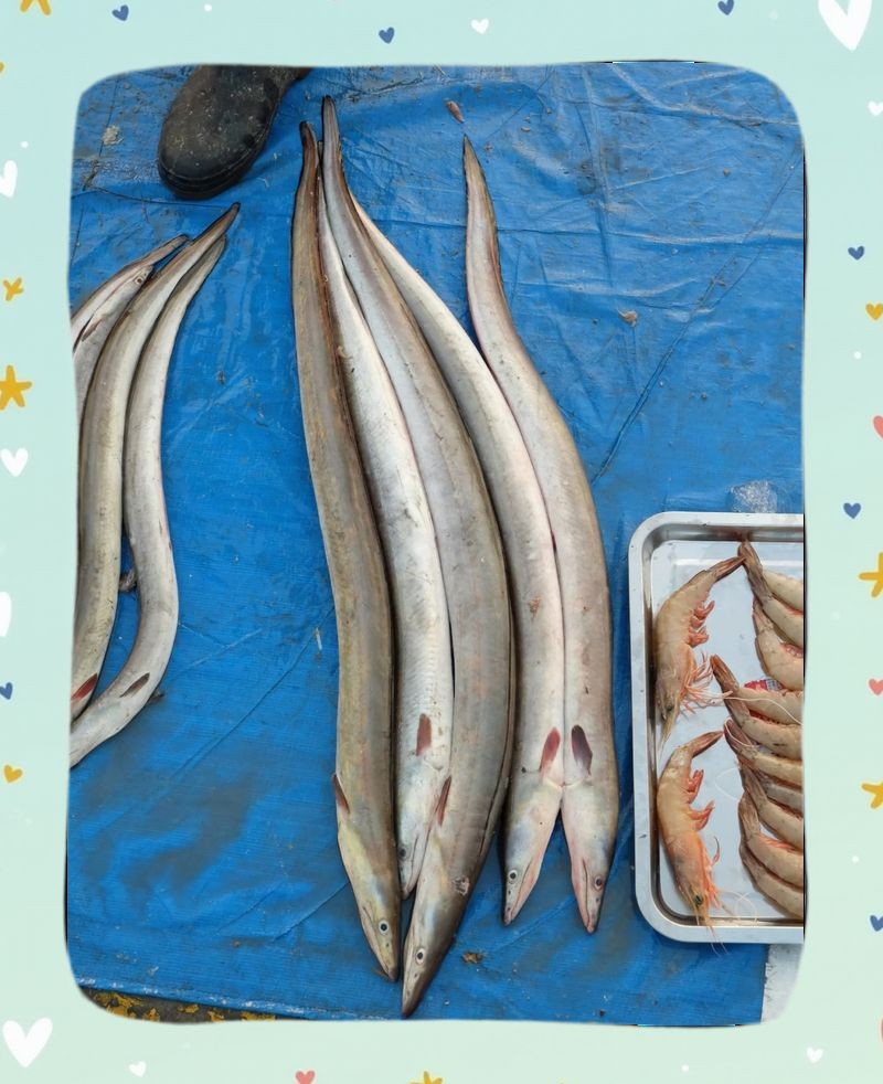 很多刺的海魚叫什么名字：多刺海魚有哪些特點？