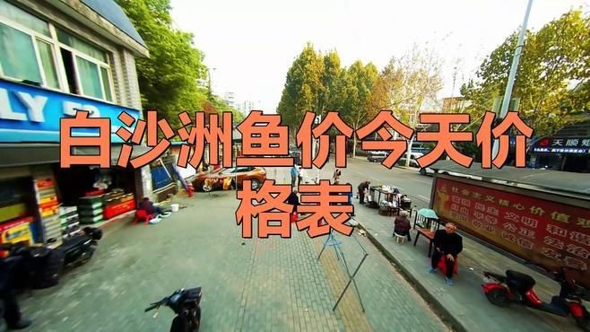 今日魚(yú)價(jià)：8月4日魚(yú)價(jià)大揭秘，你的地方多少錢一斤