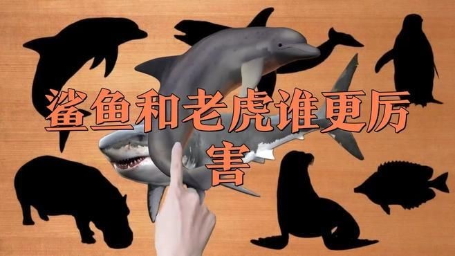 海老虎和虎鯊的區(qū)別：“海老虎”與“虎鯊”不同而差異顯著的海洋生物方式 海老虎和虎鯊的區(qū)別：“海老虎”與“虎鯊”不同而差異顯著的海洋生物方式 龍魚論壇 第1張