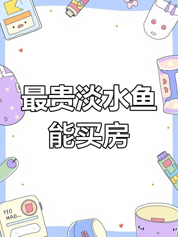 中國最昂貴十大名魚：中國最昂貴的10大名魚（含淡水及咸淡水魚種）價(jià)格及特征
