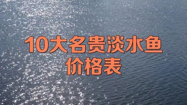 中國最昂貴十大名魚：中國最昂貴的10大名魚（含淡水及咸淡水魚種）價(jià)格及特征