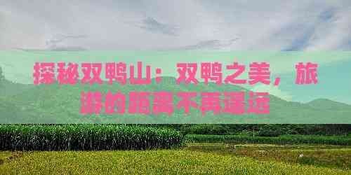 紅興隆到雙鴨山多遠：紅興隆到雙鴨山的高鐵開通了嗎？