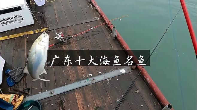 廣東人常吃的十大魚：廣東人常吃的十大魚類